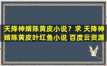 天降神婿陈黄皮小说？求 天降神婿陈黄皮叶红鱼小说 百度云资源,谢谢